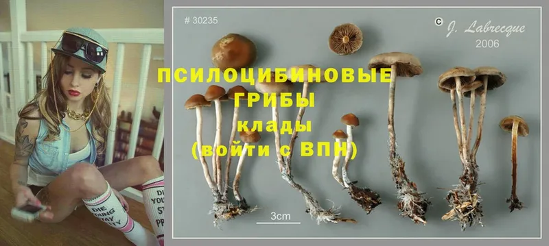 купить наркотик  Вилюйск  Галлюциногенные грибы MAGIC MUSHROOMS 